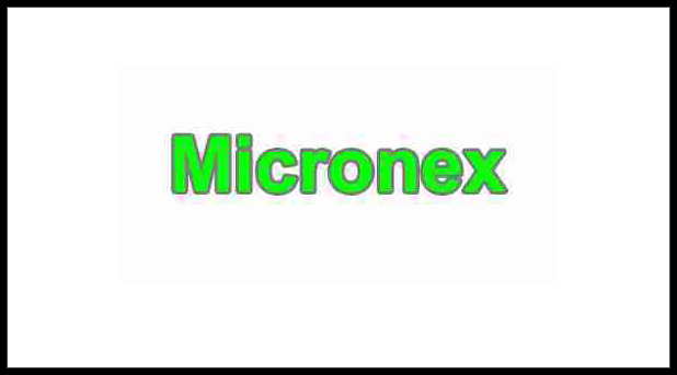 Micronex flash file